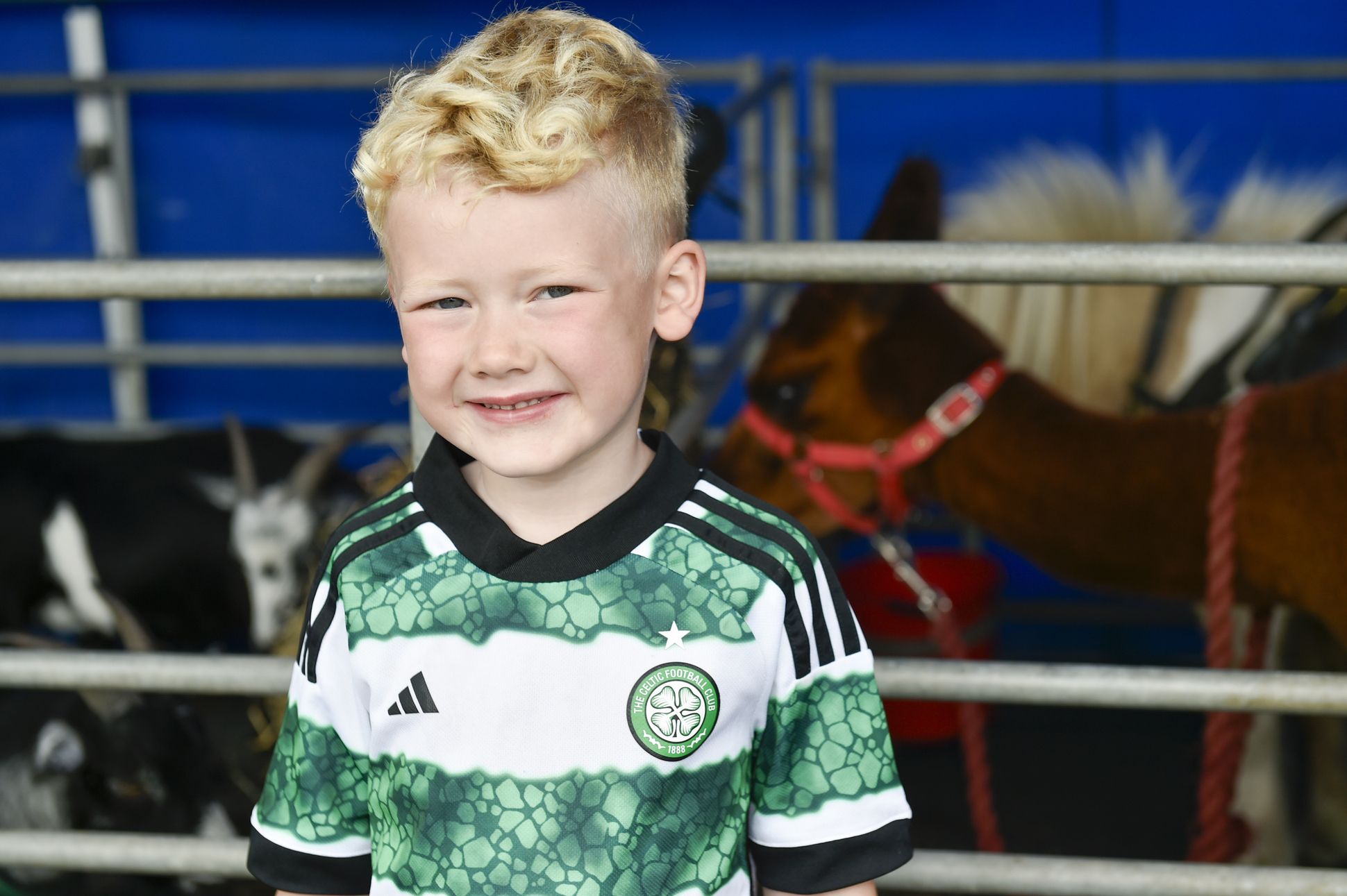 Theo checks out the alpacas