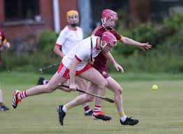CRUNCH TIME: Gort and Lámh\'s face off in Group Two decider