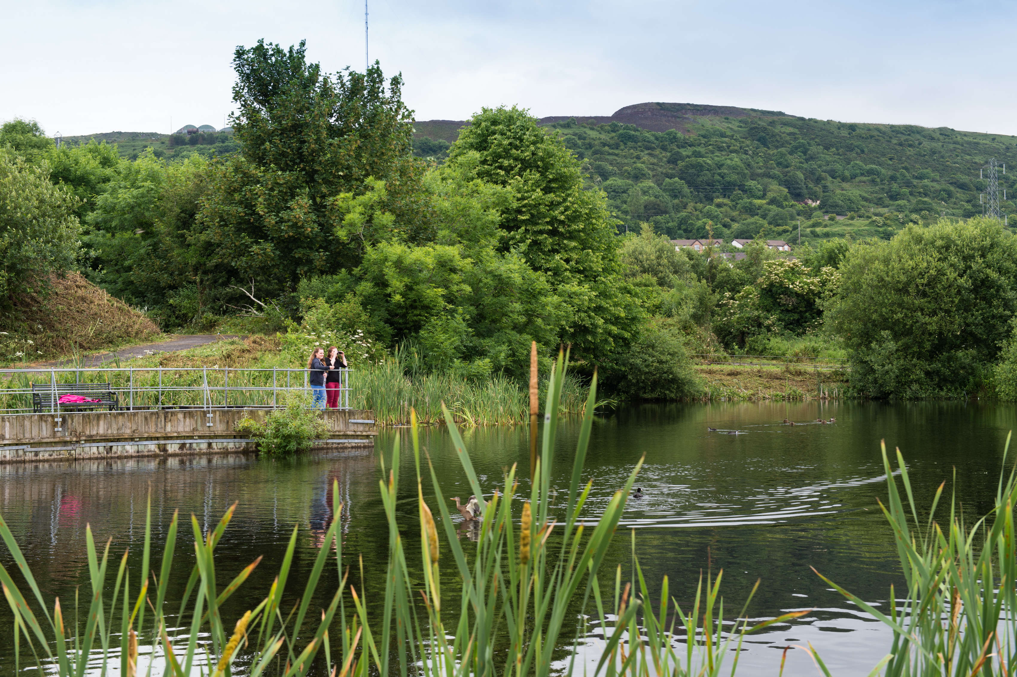 GREEN FLAG AWARD: Half Moon Lake
