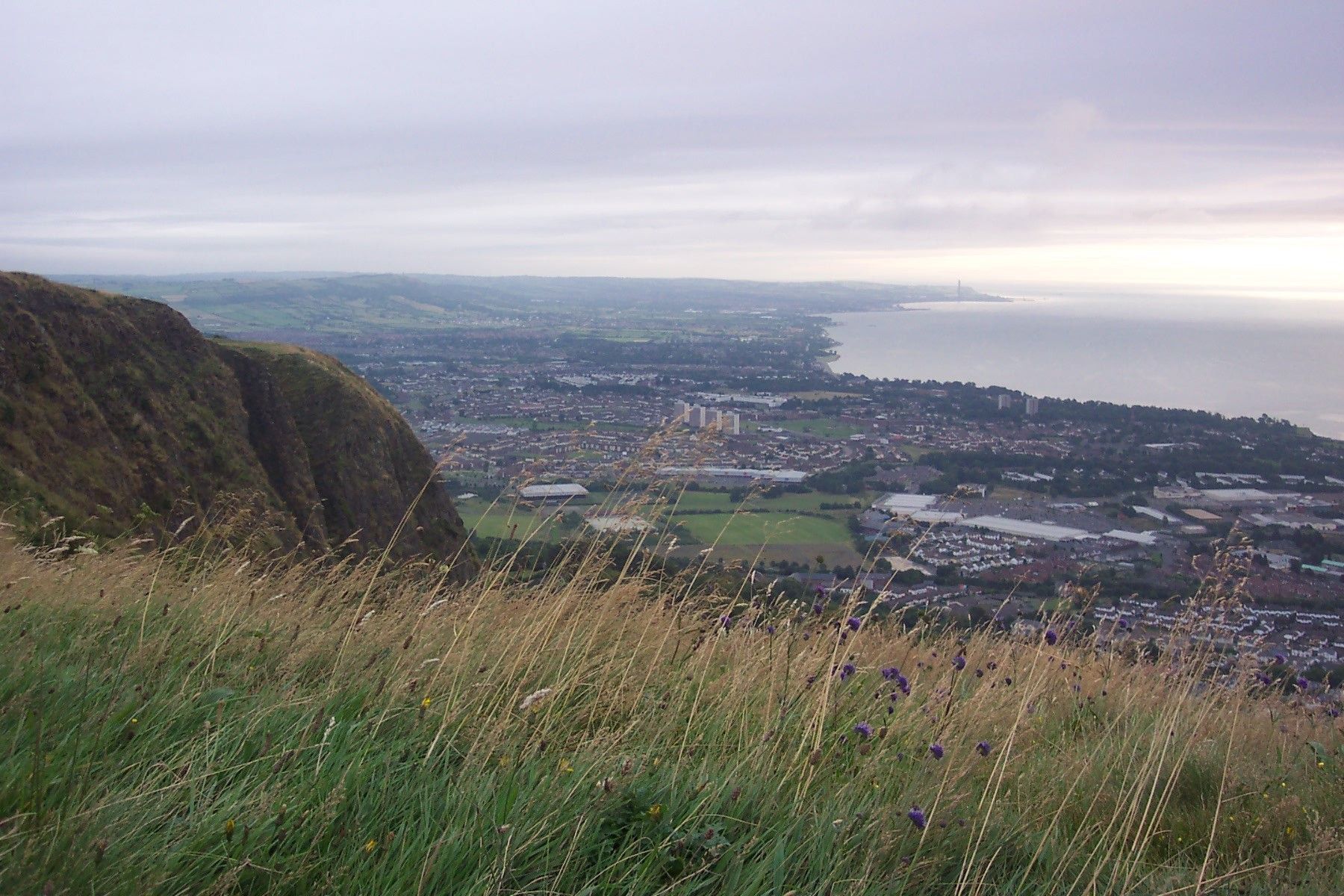 ENVIRONMENTAL PROTECTION: The biodiversity of the Belfast Hills is coming into sharp focus