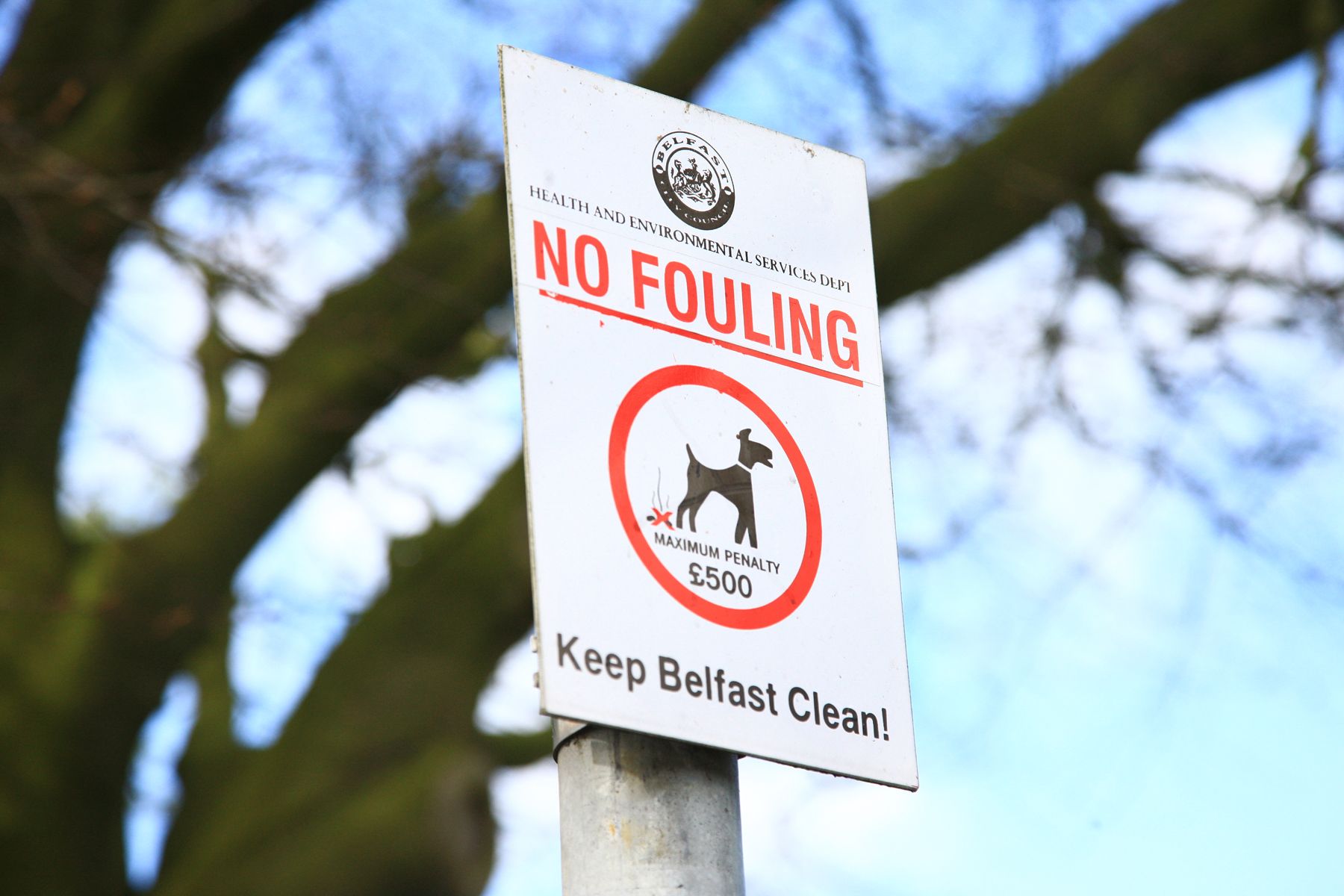 DOG FOULING: 55 fines have been handed out over the last five years in Belfast 