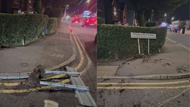 Bilingual street sign that was ripped out and flung on to road 'a hazard for passing motorists'