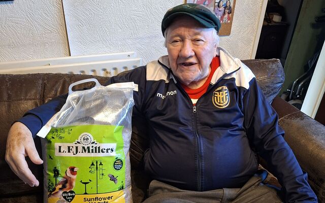 DÚLRA: Feed the birds but keep those feeders clean