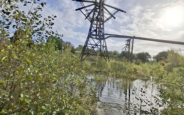 DULRA: Our wounded lough keeps braving all the storms