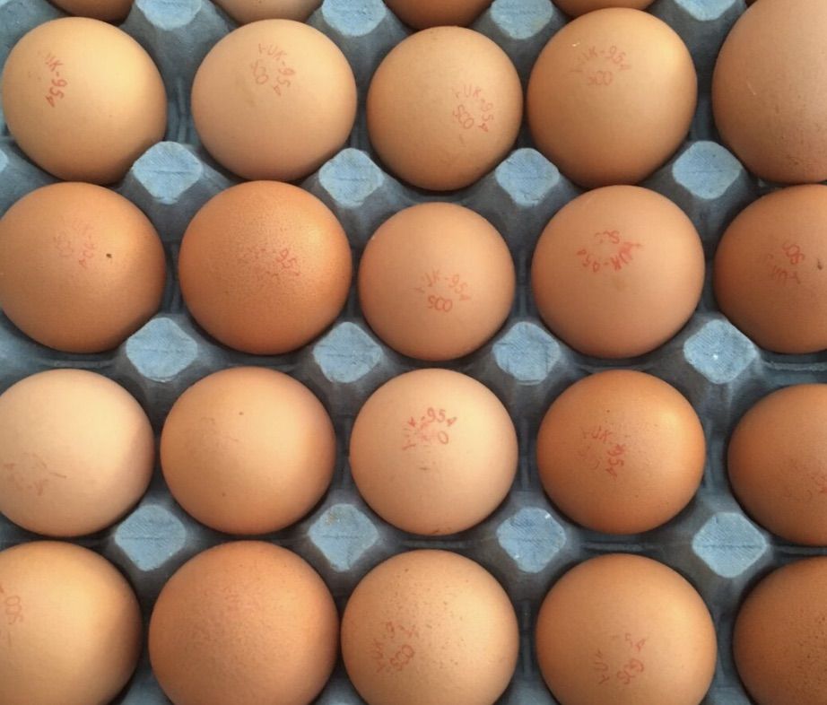 BEST COOKED: Eggs