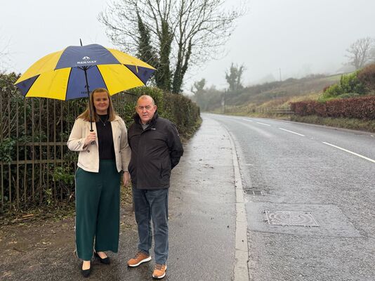 Upper Springfield Road clearance works welcomed 
