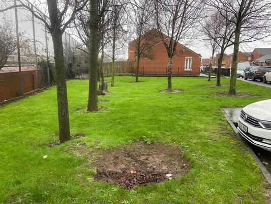 Survey being carried out to assess need for children play facilities in Carrick Hill