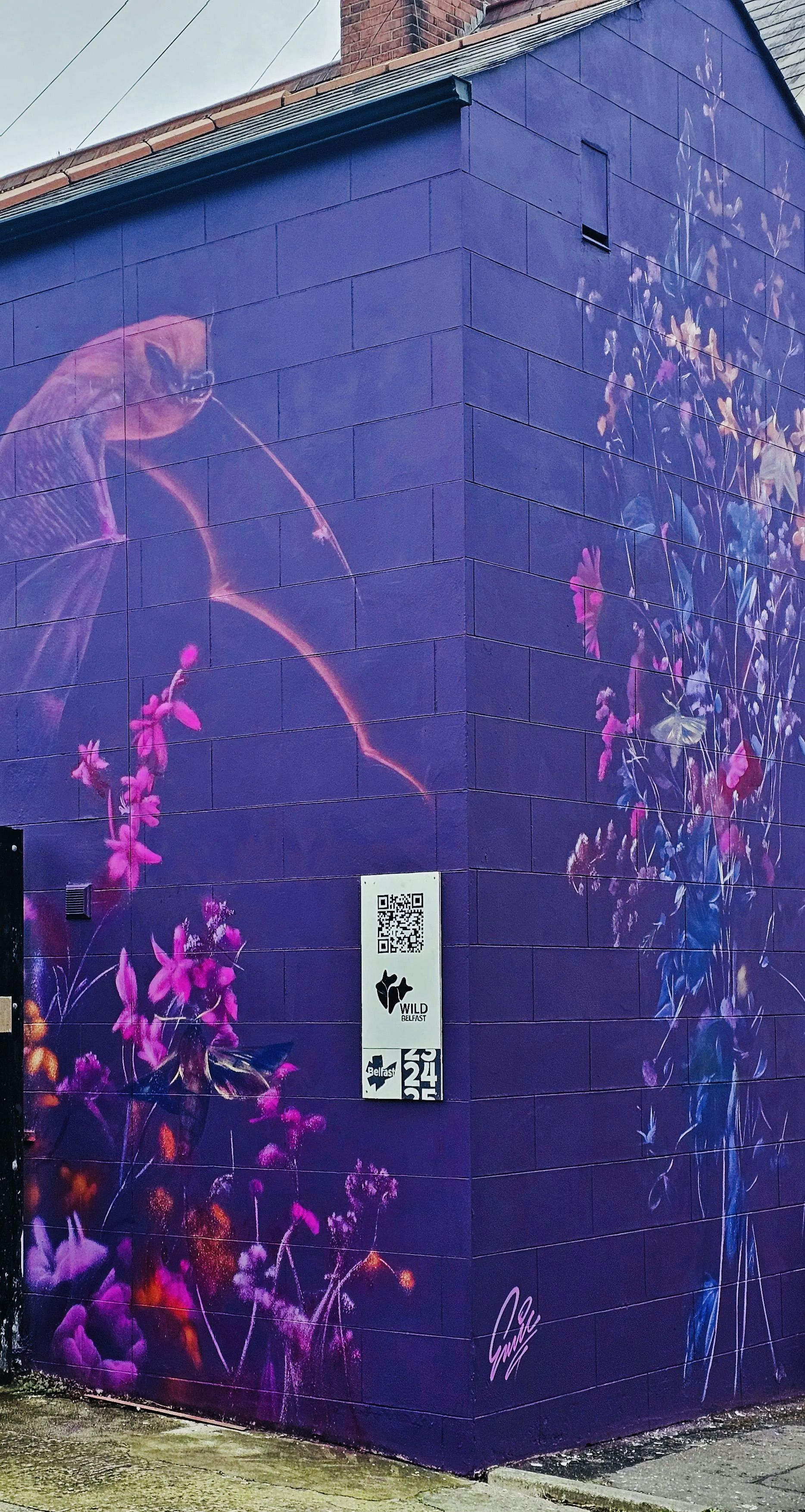 BEAUTIFUL AND PRACTICAL: The mural in Colenso Parade in the Stranmillis area highlights the importance of ‘moon gardens’.