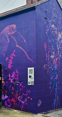 DÚLRA: Deadly visitor brings silence to the noisiest garden