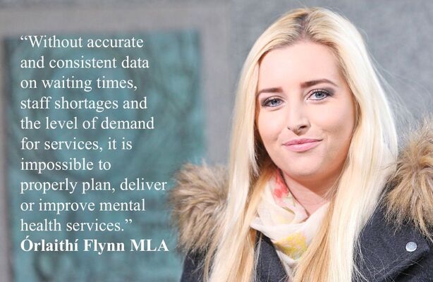 New system needed to support those experiencing mental health challenges, says MLA