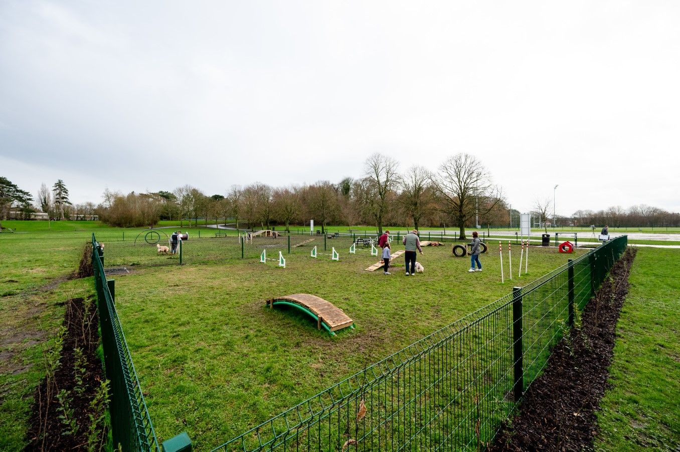 A DOG\'S LIFE: The new dog play area is now open in Ormeau Park