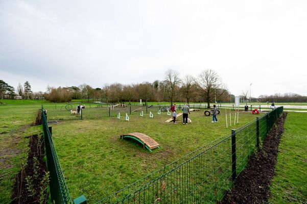New dog park at Ormeau Park supports responsible dog ownership 