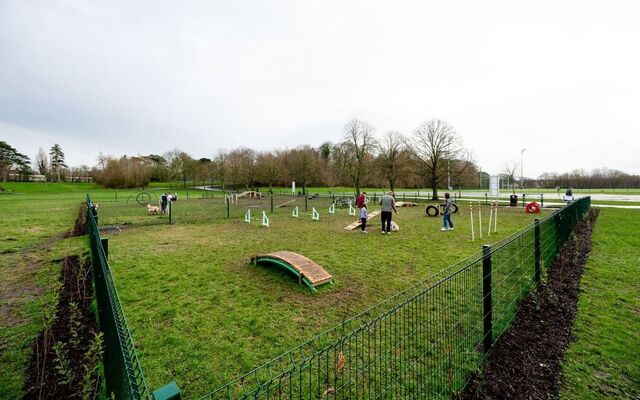 New dog park at Ormeau Park supports responsible dog ownership 