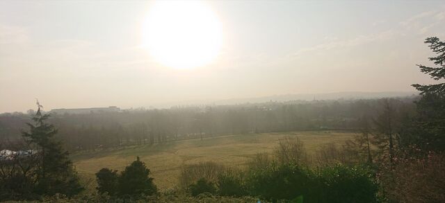 Council delays decision over GAA pitch for Botanic after community garden concerns