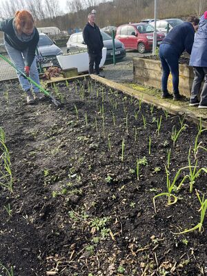COMMUNITY GARDENING: Spring planning is an important job in any garden
