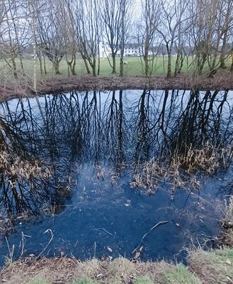 DÚLRA: Hilton Hotel is no luxury for frogspawn in the spring