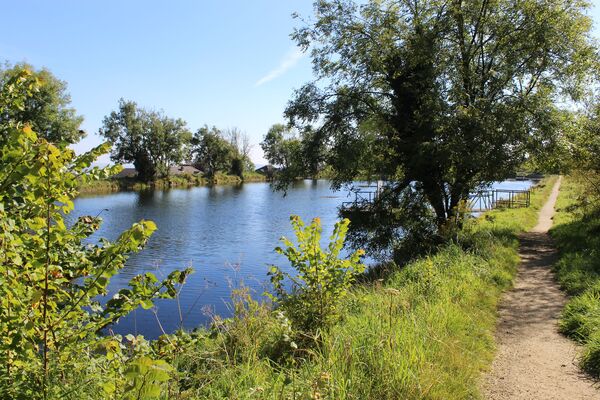 BELFAST HILLS: Have your say on nature with this week's workshops