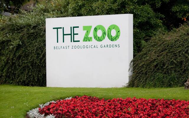 £75,000 for new hop-on, hop-off train service for Belfast Zoo welcomed