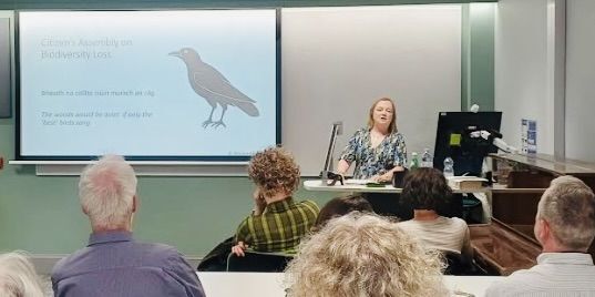 DÚLRA: Save Irish nature? Then save the Irish language