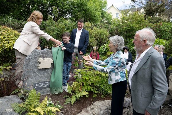 'Inspirational' as Dáithí unveils special stone with President to mark organ donation