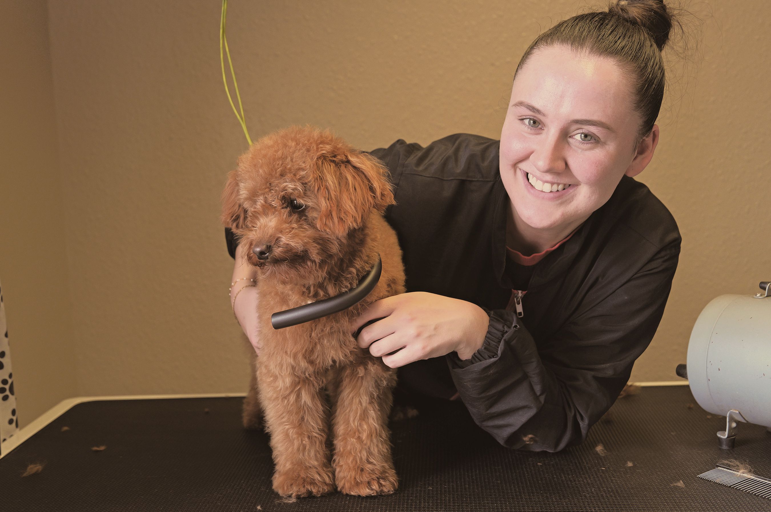 WARNING: Emma Livingstone from The Grooming Loft on the Glen Road