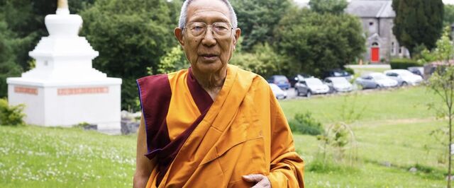 MINDFUL MOMENT: Lessons I learned from the cat and the lama