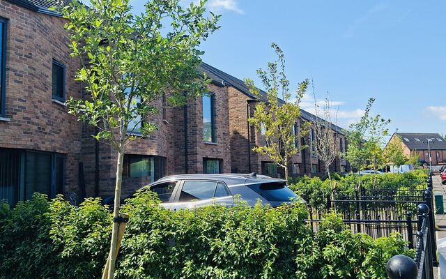 DÚLRA: Rowan trees at new Ross Street development a signficant gesture