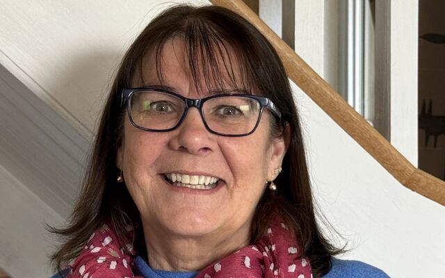 'Scéal o Carolina': An Airgintín ag teacht chuig an Fhéile (via Gaeltacht na Rinne)