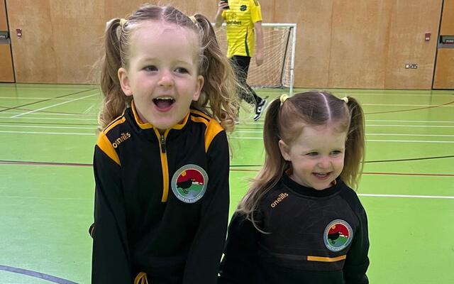 Lá in ómós do Bhláthnaid á eagrú ag Laochra Loch Lao