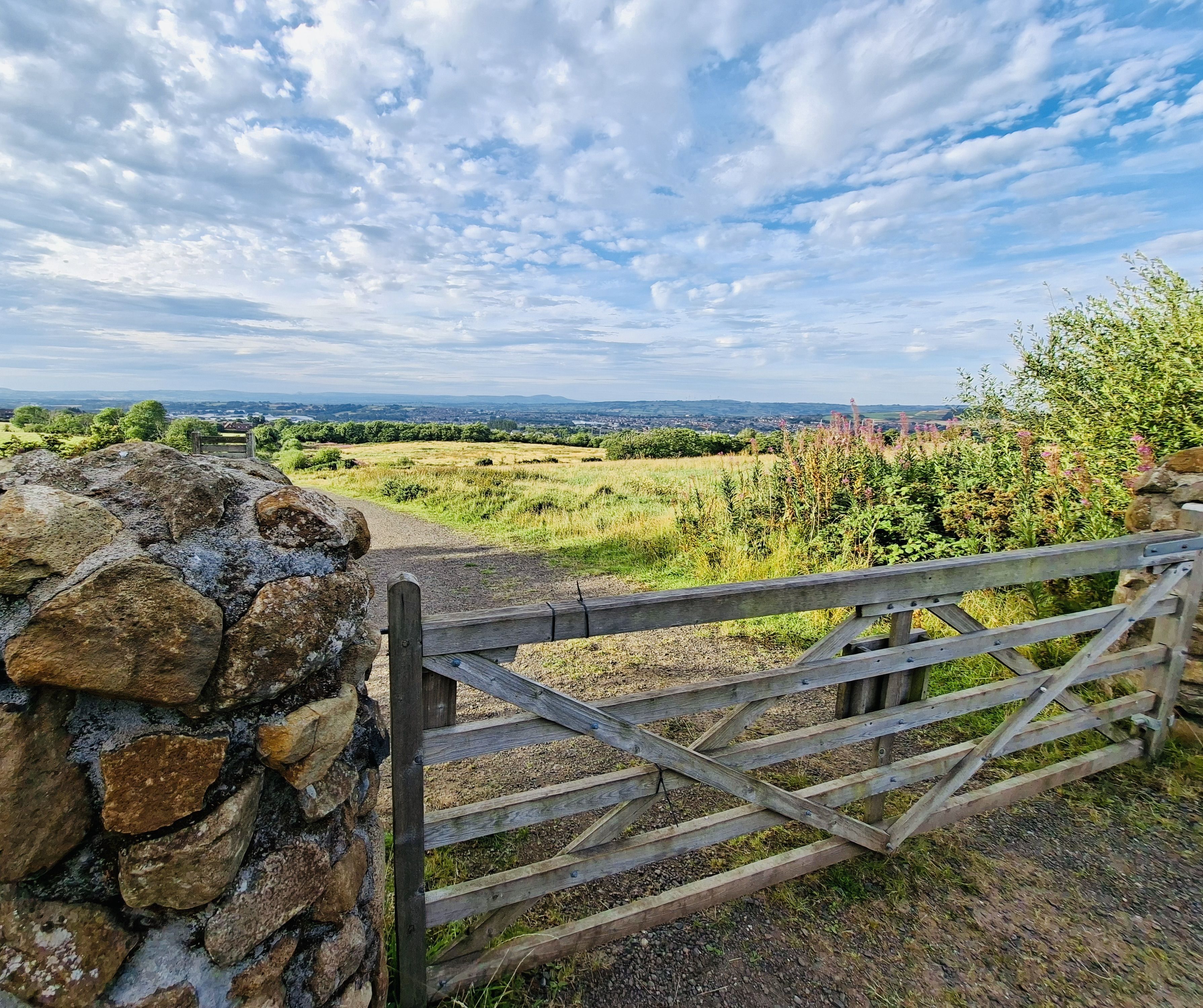 GATEWAY TO ANOTHER WORLD: Glas na Bradán overlooks North Belfast. 150,000 saplings were planted here six years ago