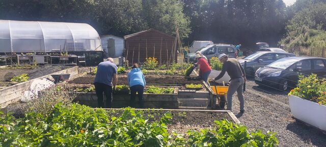 COMMUNITY GARDENING: Harvesting comes to the fore in August