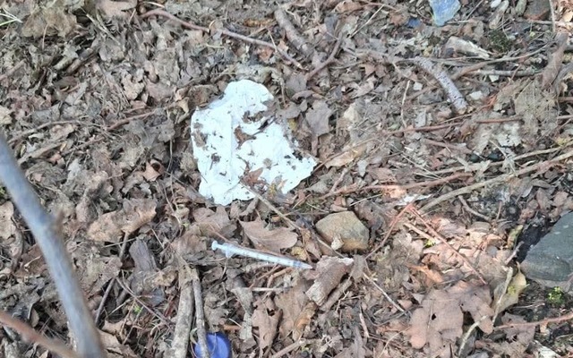 'The needles are everywhere. One month I found about 30'