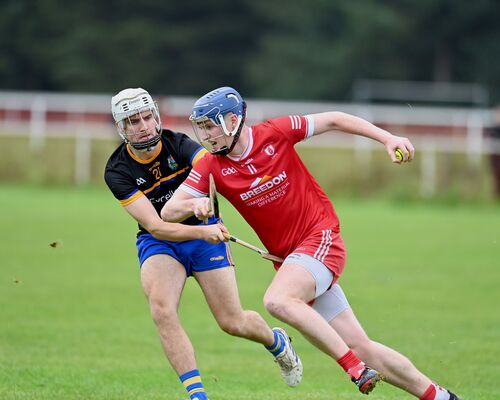 Gaelic Games - JHC: Lámhs prove too strong for St Brigid's with emphatic quarter-final win