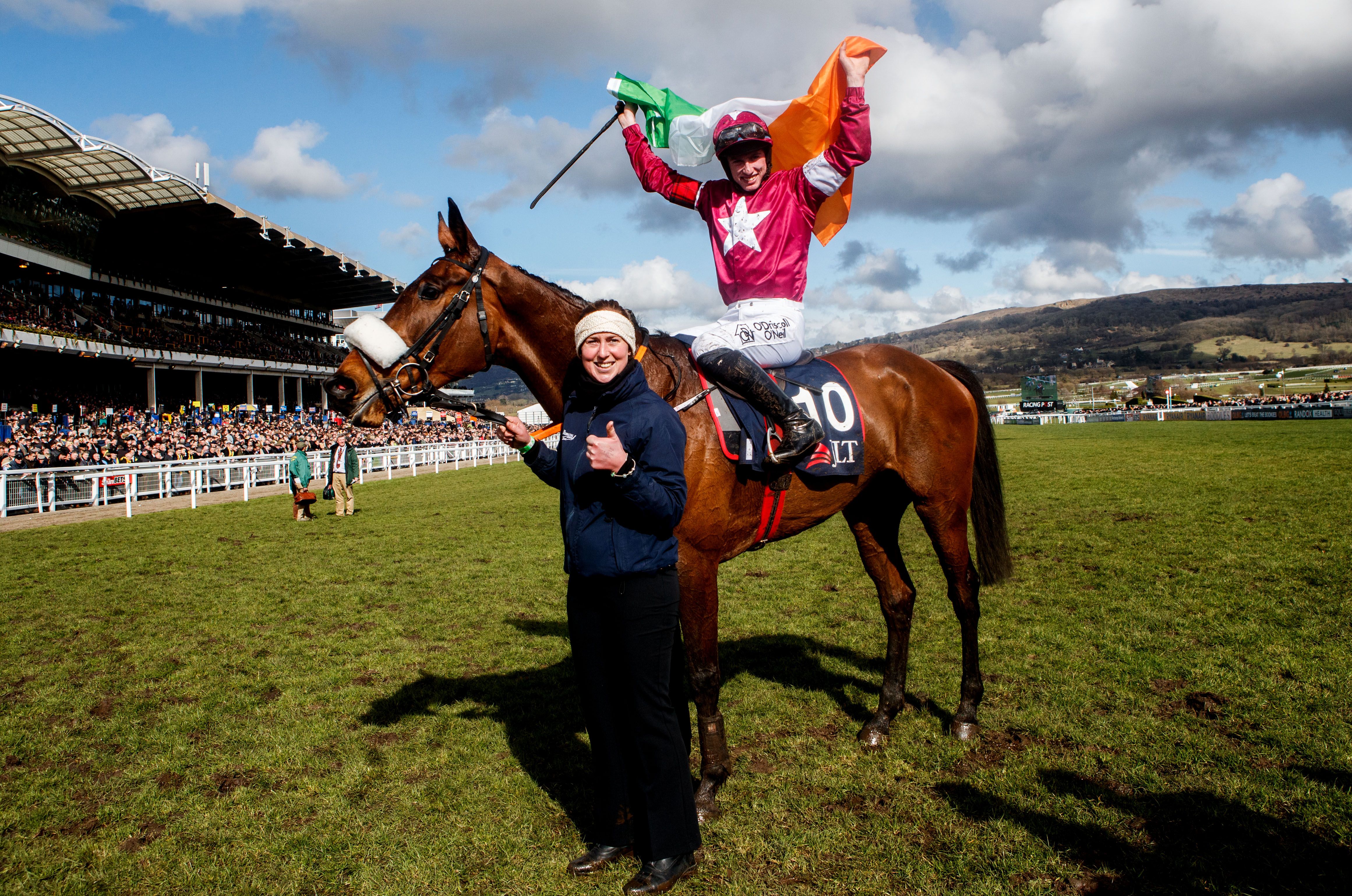 Shattered Love won the JLT Novices' Chase at the 2018 Cheltenham Festival, but needs to improve to feature in this