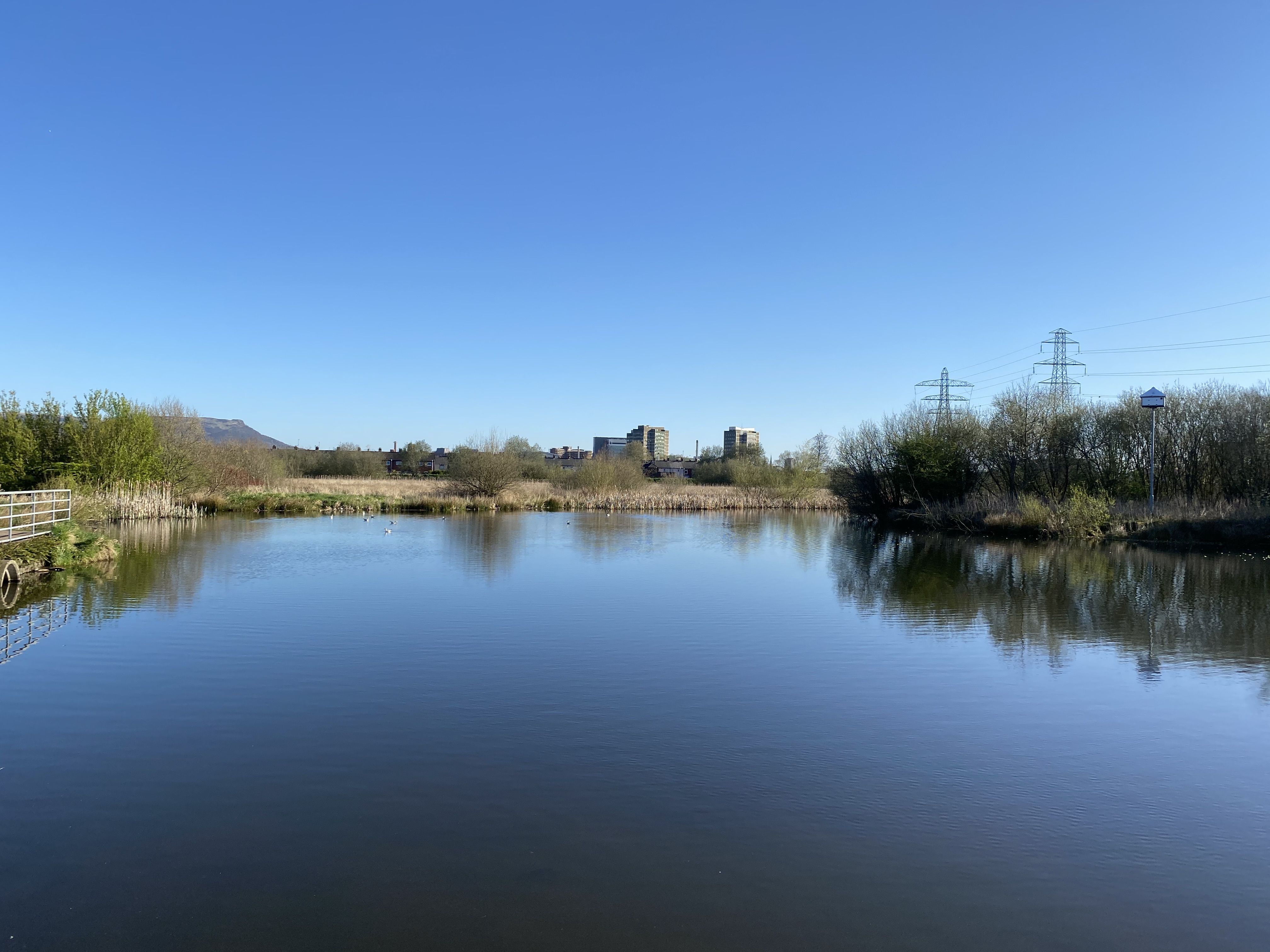 TOUCHDOWN: Bog Meadow