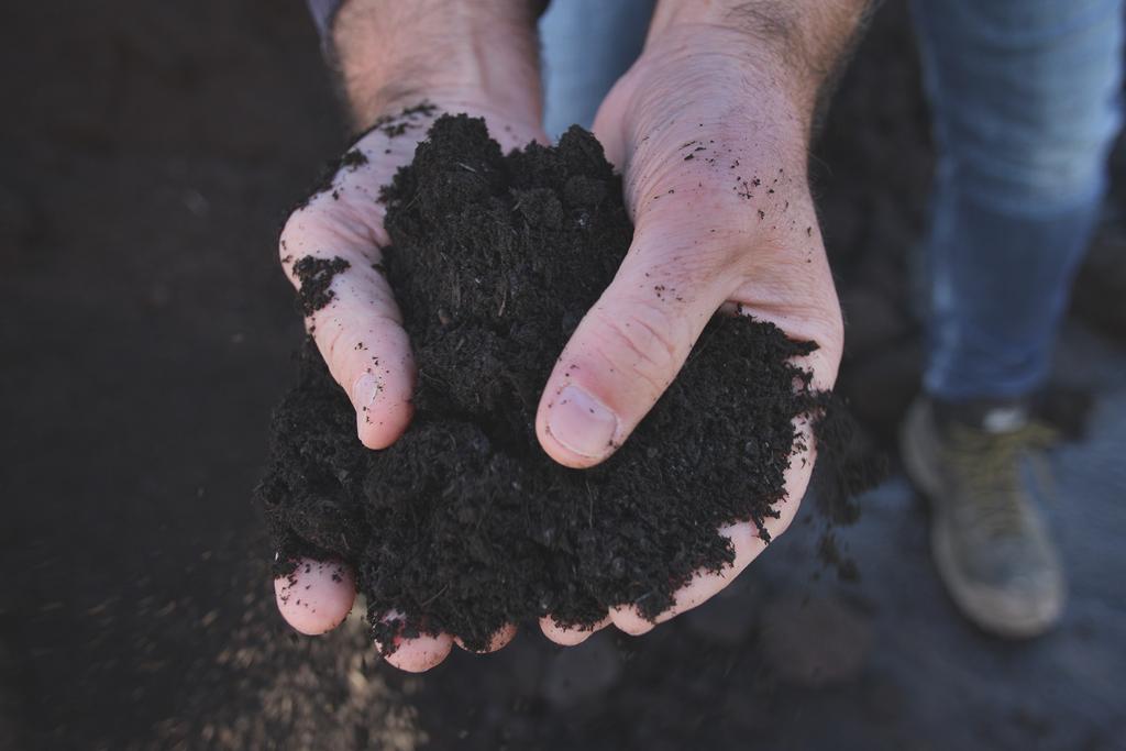 Turning waste into compost – we go behind the scenes at Glenside