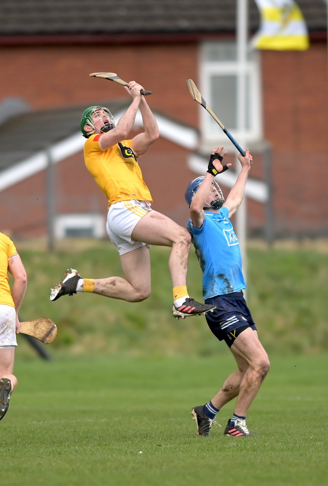 Walsh rises high against Dublin on Saturday