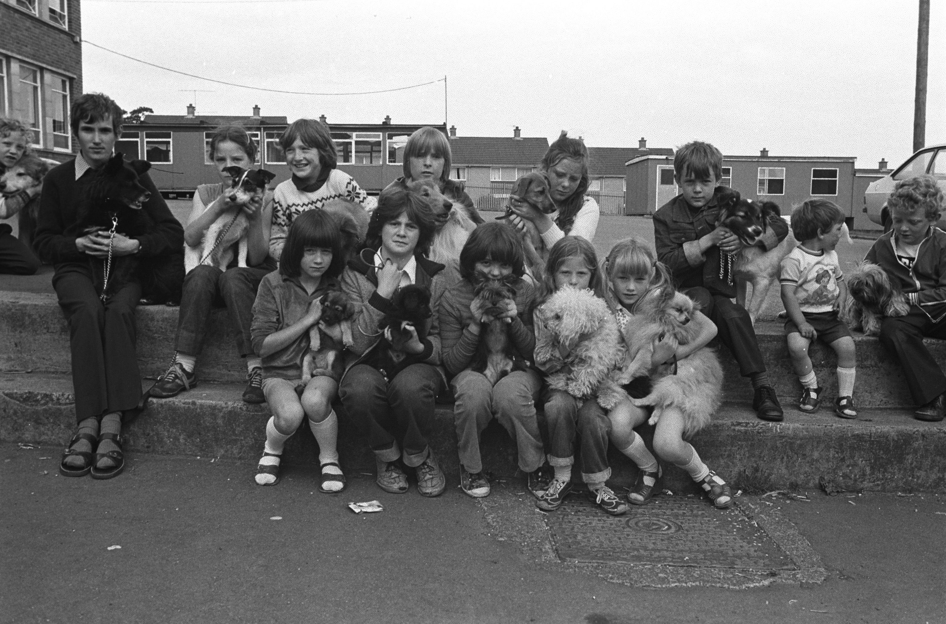 St Oliver Plunkett Primary School Summer Scheme Pet Show