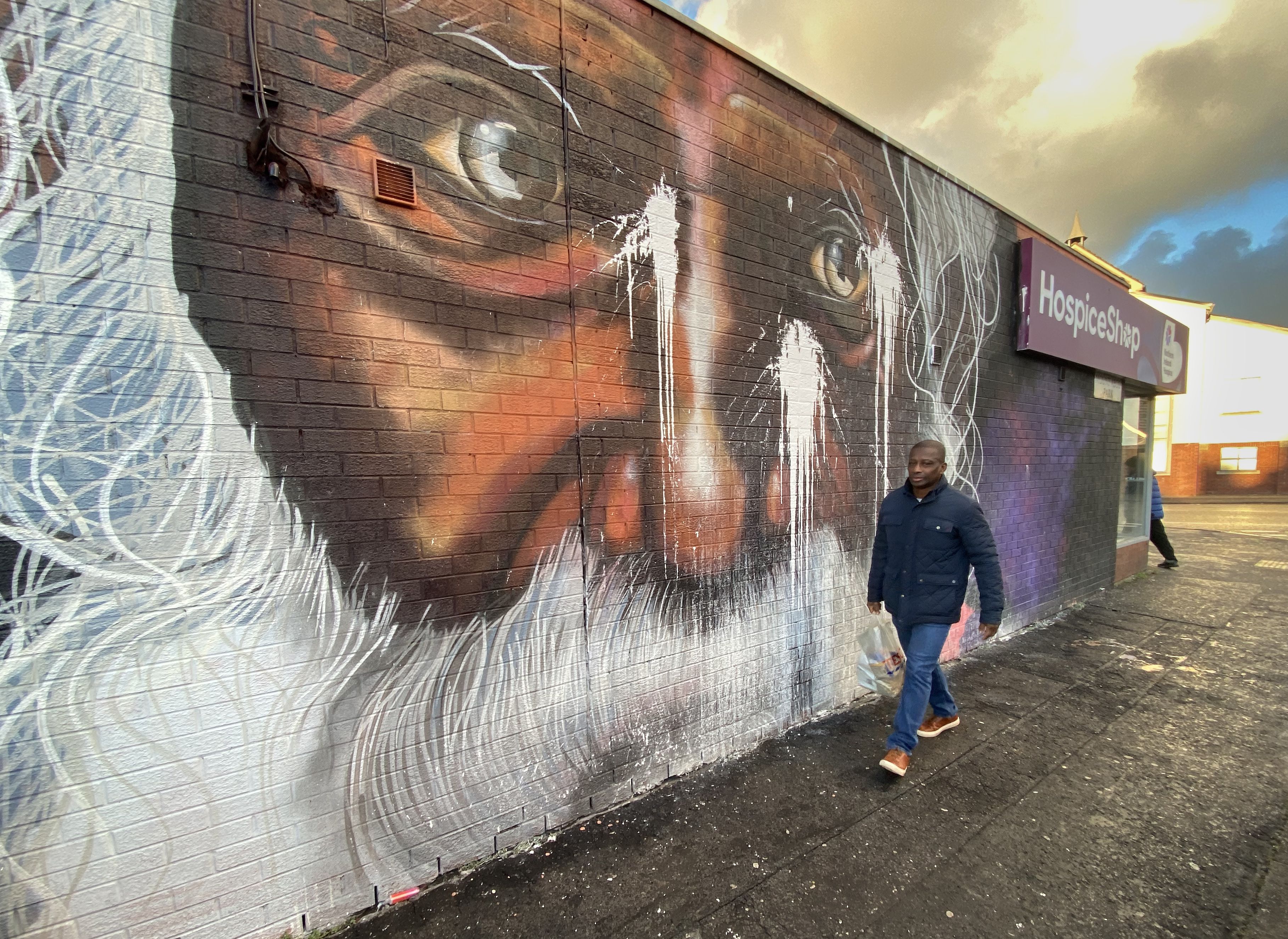 ATTACKED: The mural on Mount Aboo Park was attacked for the second time in a number of weeks ATTACKED: The mural on Mount Aboo Park was attacked for the second time in a number of weeks