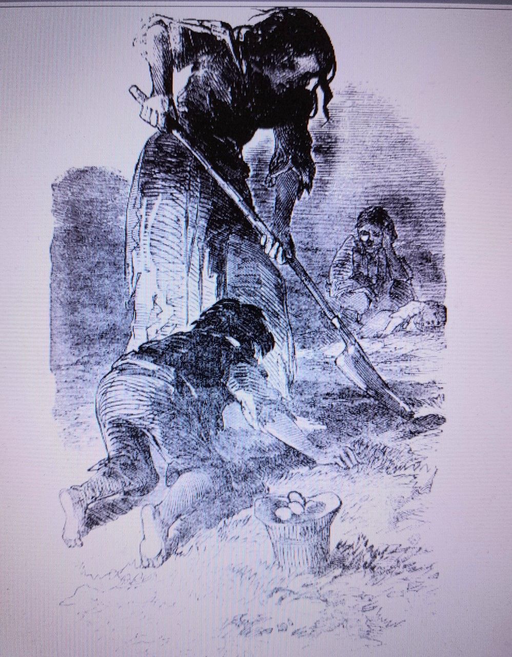 Mother and son digging for potatoes. West Ireland, 1847, Illustrated London News