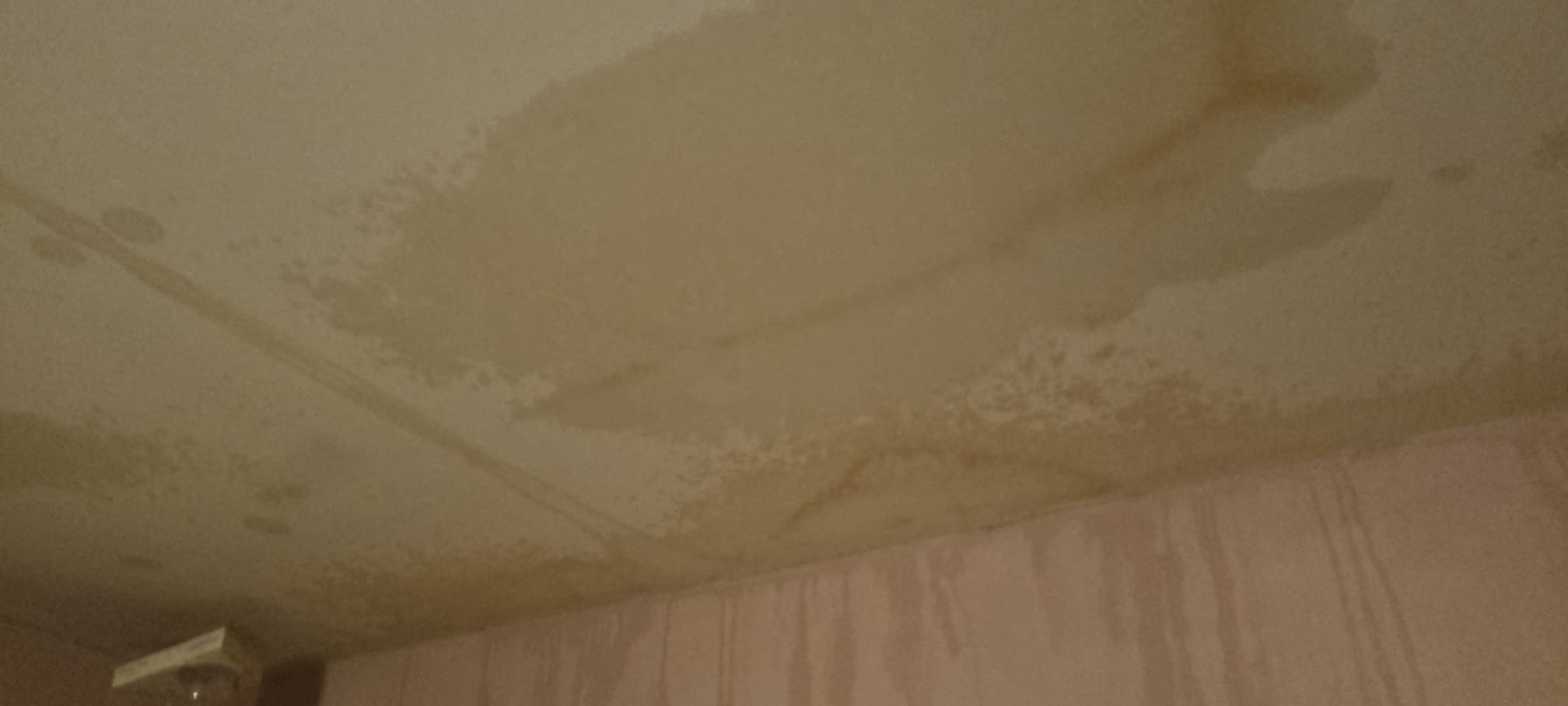 IMPACT: A leak from a neighbour's apartment was repaired but the effects can still be seen
