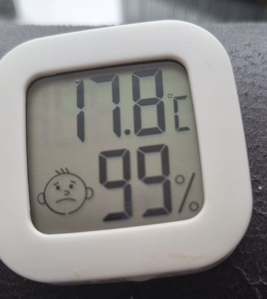 DAMP: Joanne's humidity device which registers above the safe level in every room of the apartment