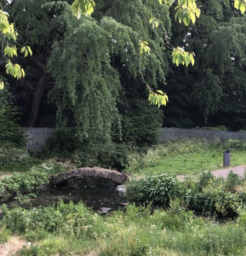 CON O'NEILL: The Con O'Neill Bridge is a hidden gem in East Belfast HISTORIC: The Con O'Neill Bridge is a hidden gem in East Belfast
