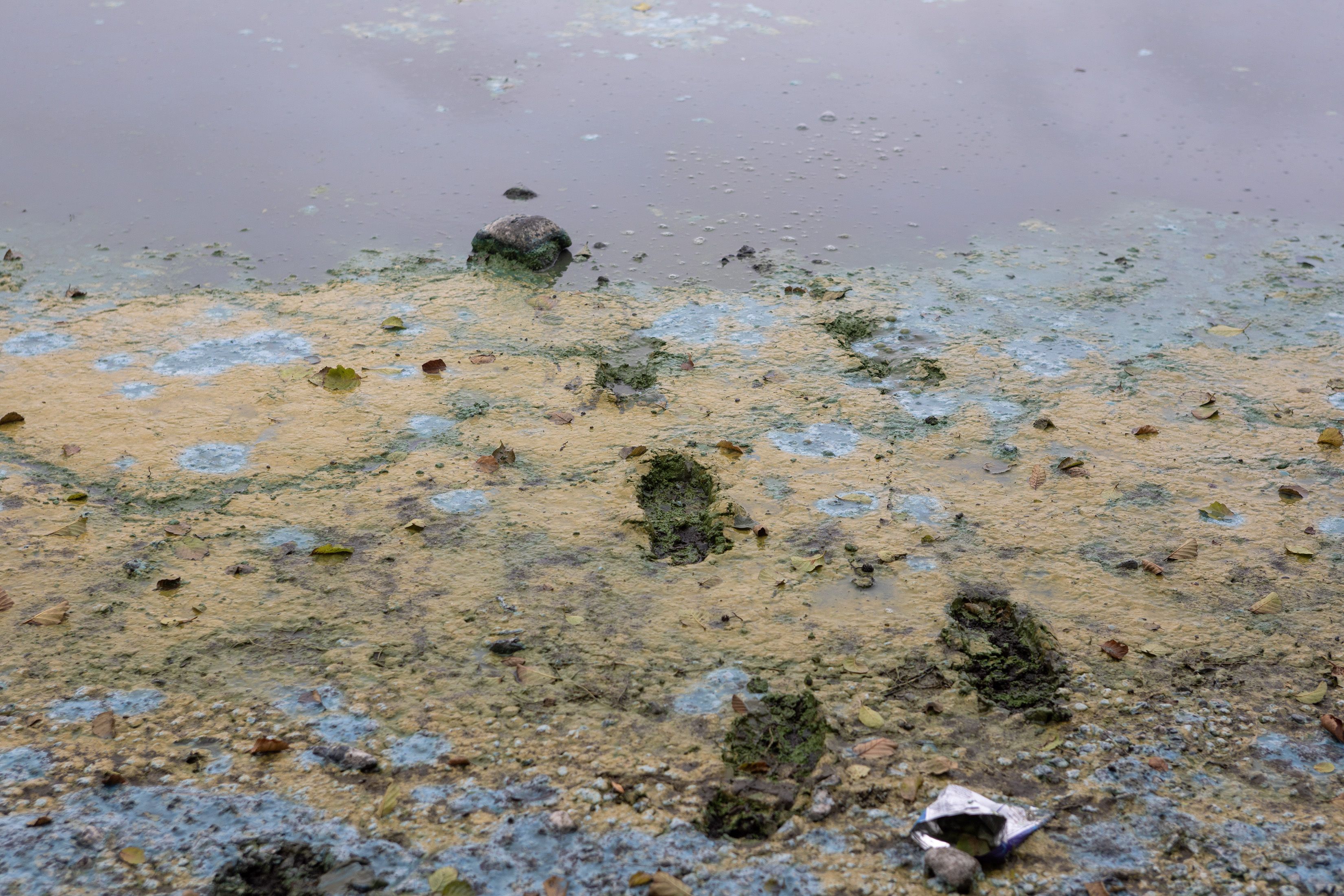 Pollution on Lough Neagh