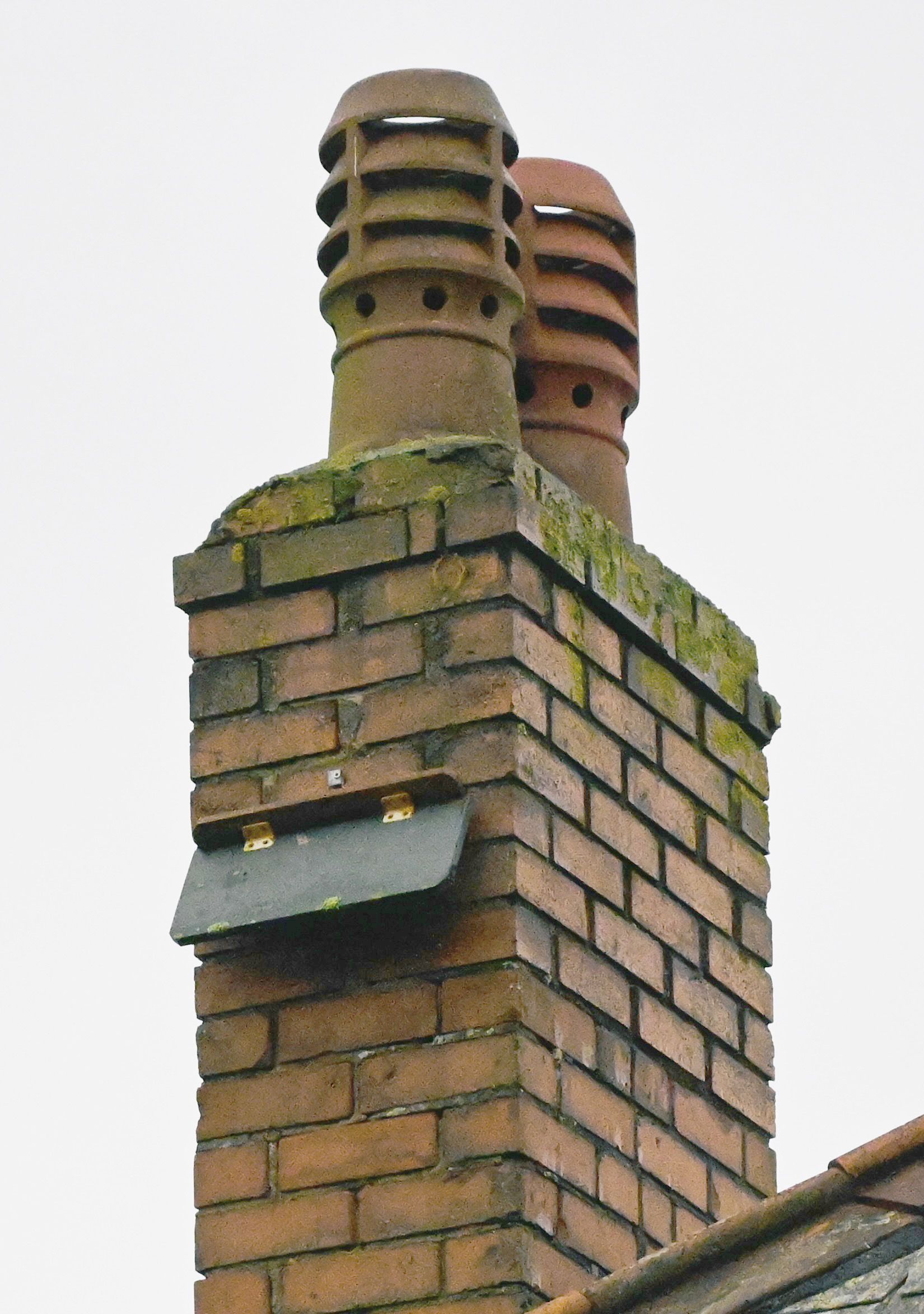 Oops.... the nest box slipped from Dúlra's chimney