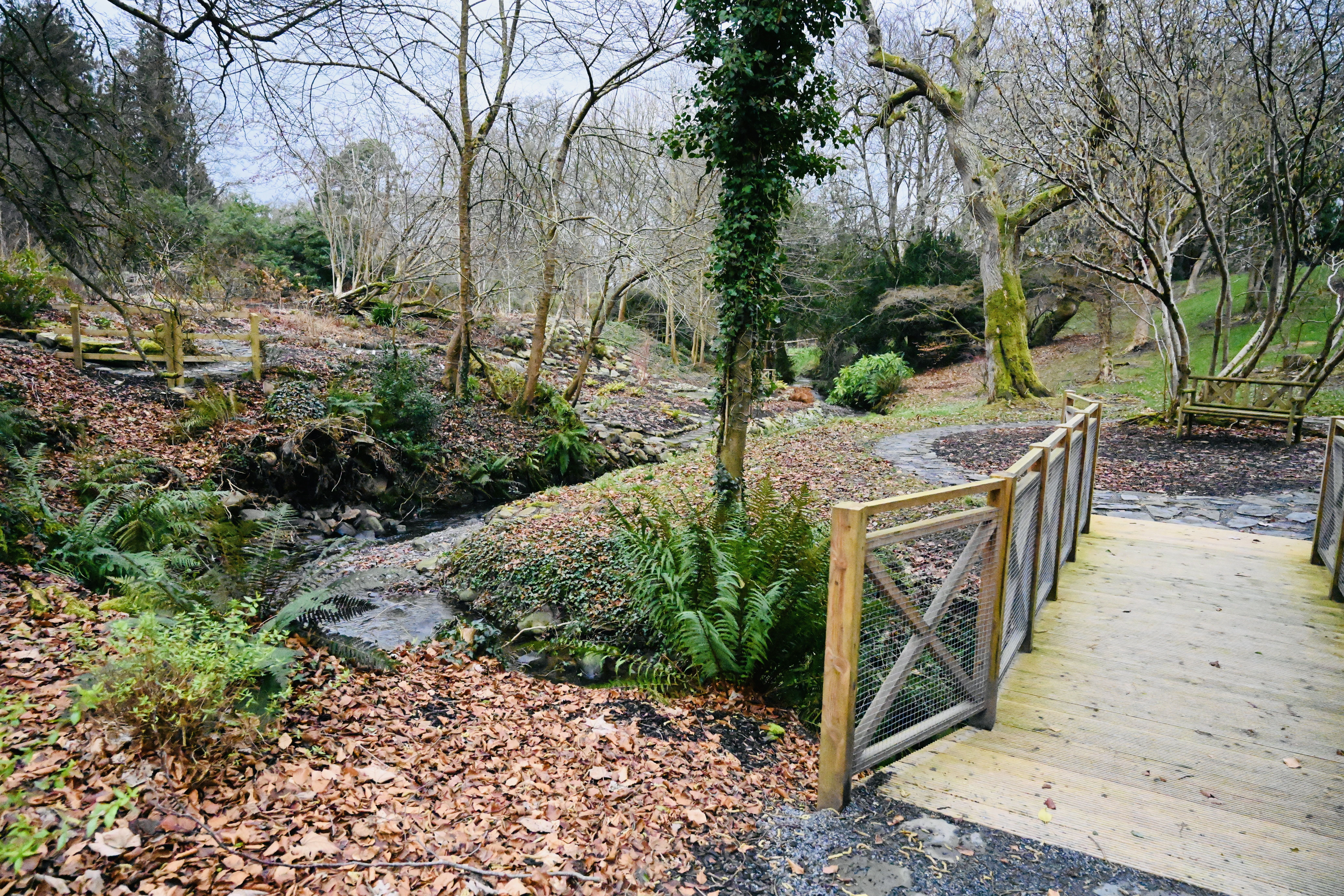 HAVEN: The forest at Montalto is a captivating retreat