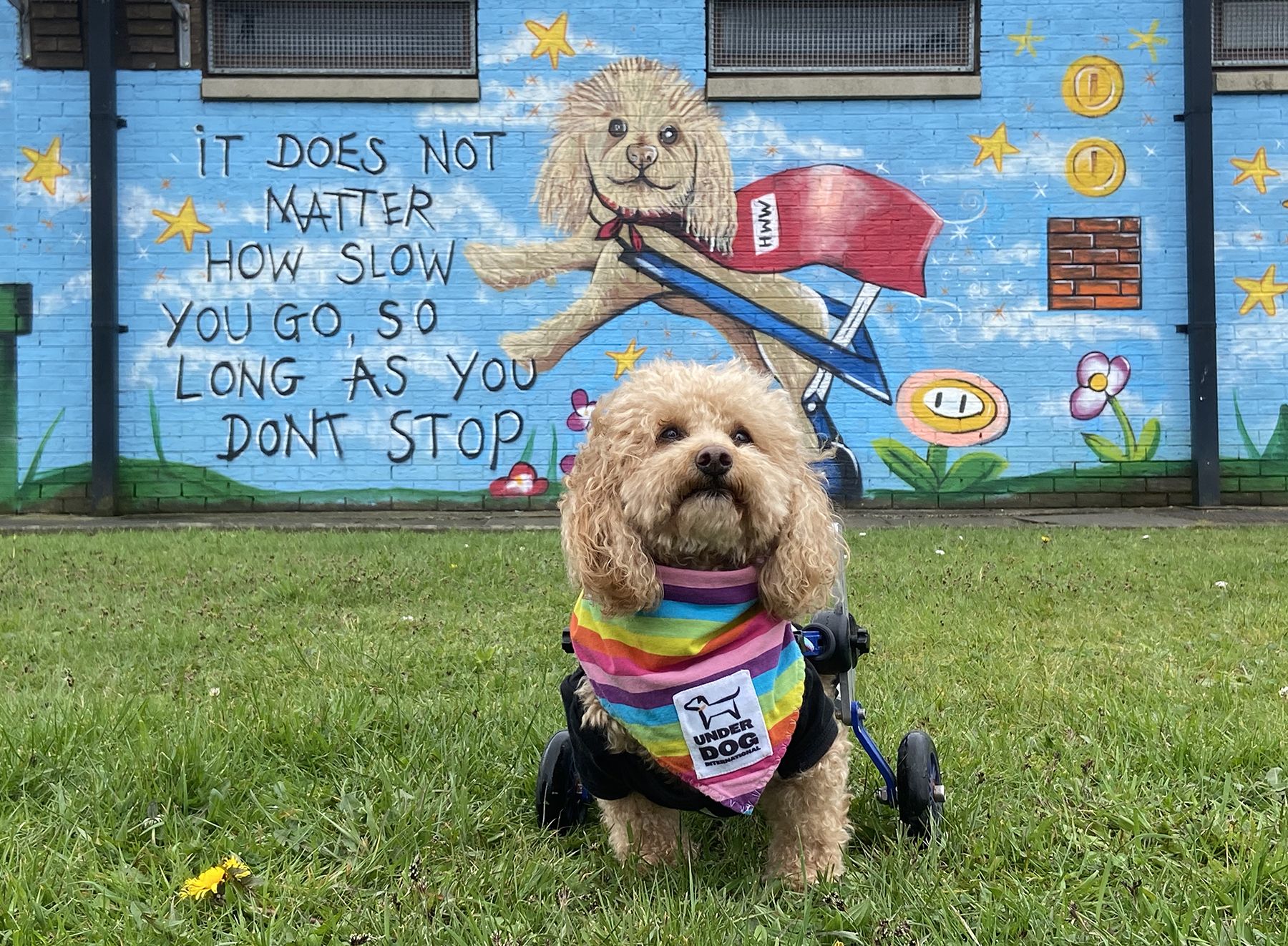 THERAPY: Henry Wee Wheels has a mural of himself at Sacred Heart PS