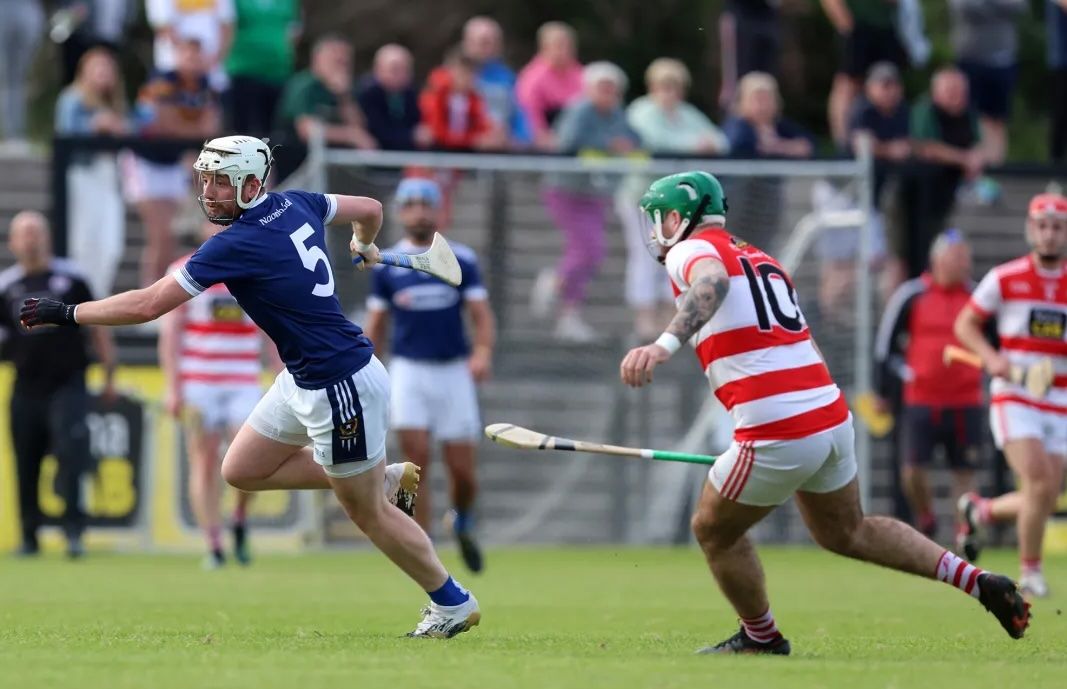 St Paul's host St Gall's in Division Two