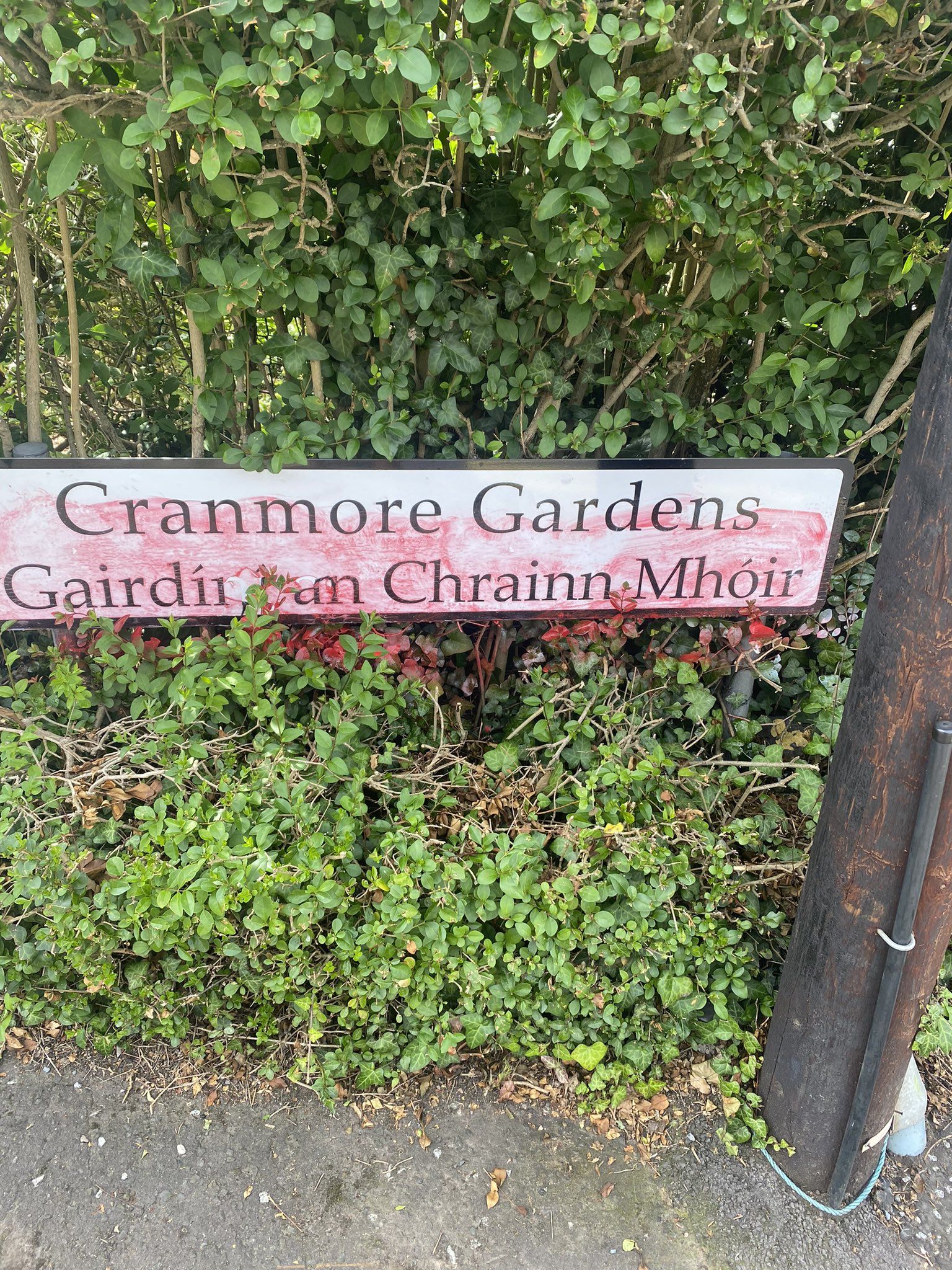 Lord Mayor cleans up damaged dual language street sign on Lisburn Road