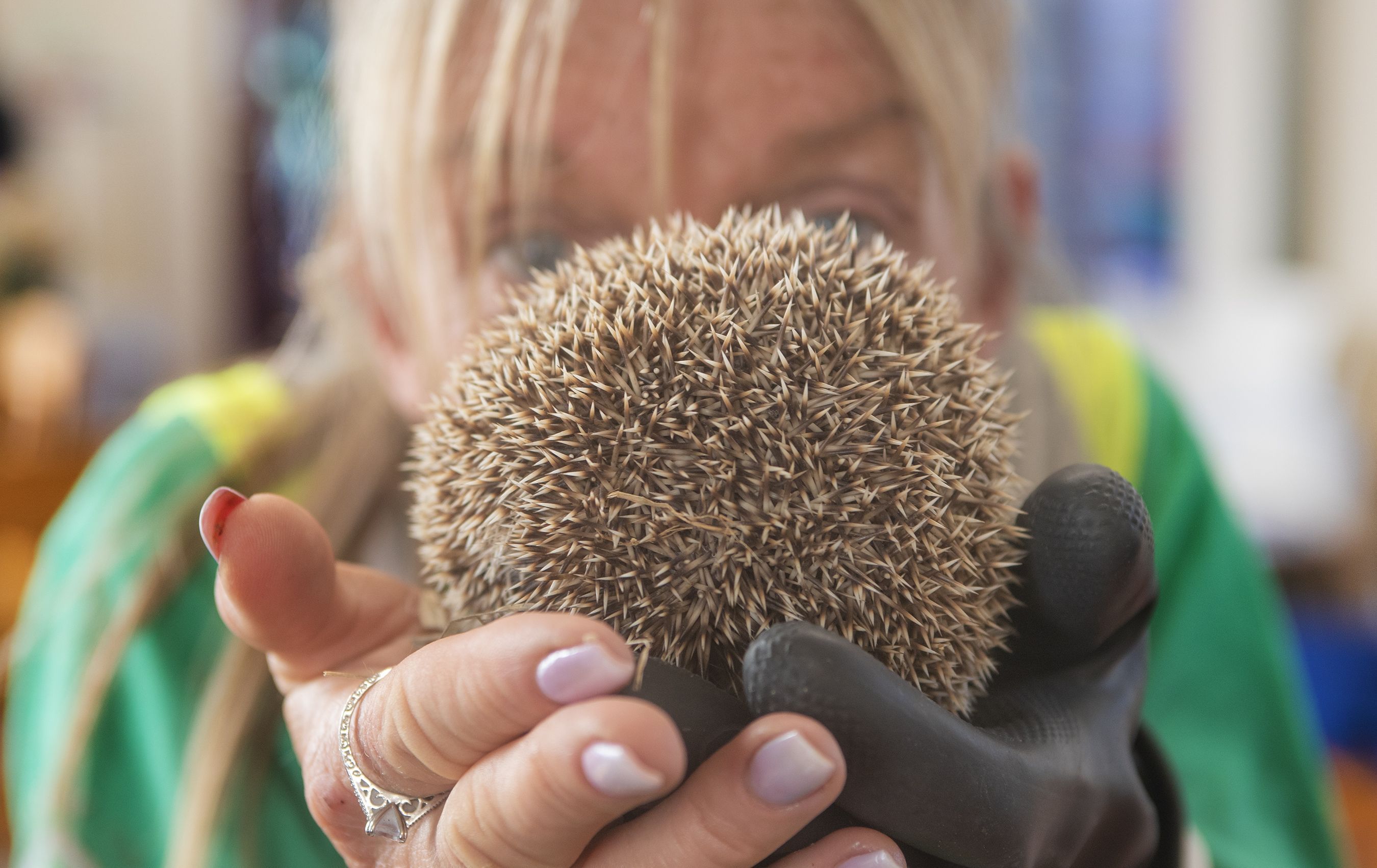 TOWN AND COUNTRY: Animals and people live harmoniously side by side at St James' Community Farm